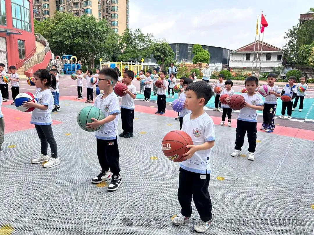 哪里有针对青少年的篮球声誉培养计划_0